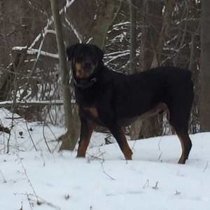 Meet your Posher, Debra